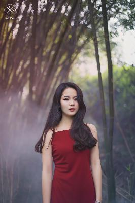 人狗大战2免费观看正版