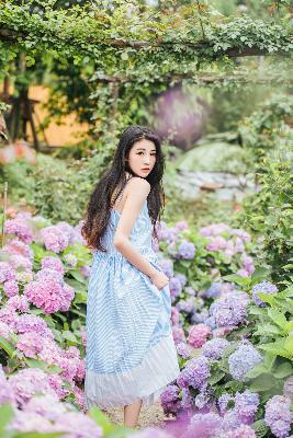 2025年新奥正版免费大全-百度