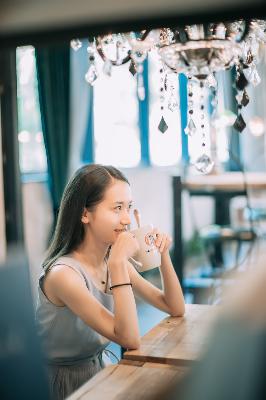 树影迷宫电视剧免费播放