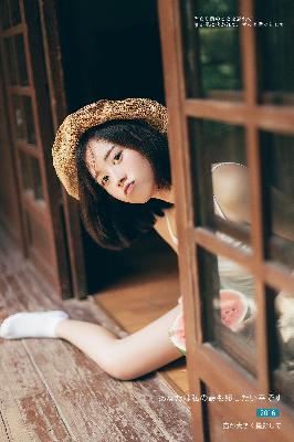 老九门电视剧全集免费观看高清