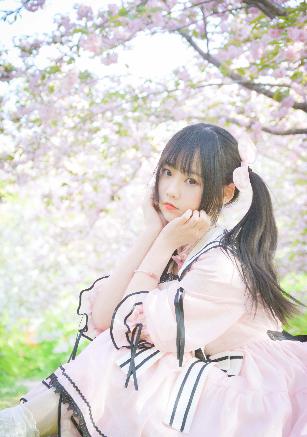 炽道电视剧全集免费观看