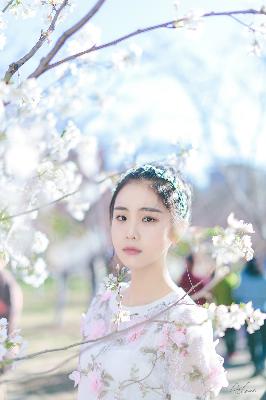 动漫免费观看在线播放高清版