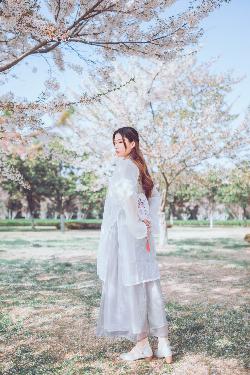 书卷一梦电视剧免费观看