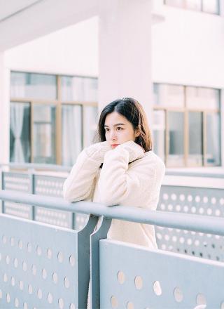 赴山海电视剧免费观看完整版