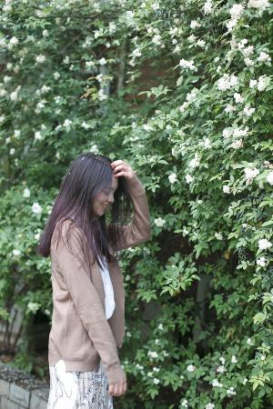 最新电视剧排行榜