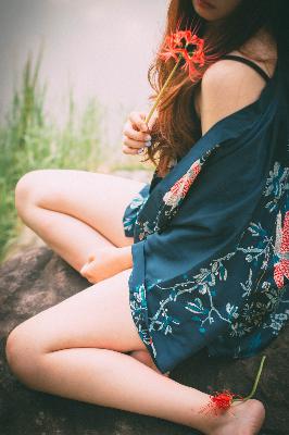 疯狂动物城2(国语版)