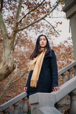 金瓶梅2在线观看