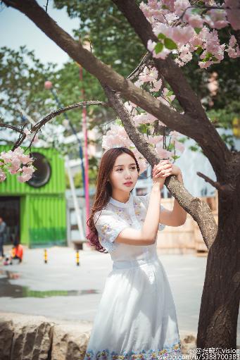 白色城堡电视剧在线观看免费