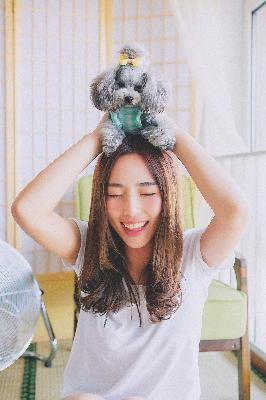 免费观看在线高清电视剧