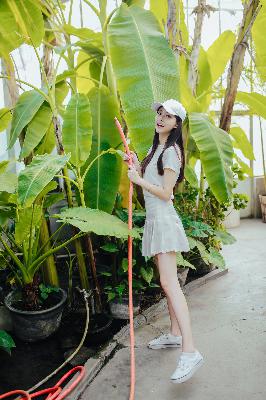 凡人修仙传动漫全集在线观看